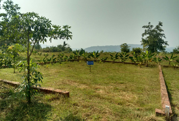 Konkan County