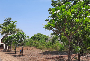 Konkan County
