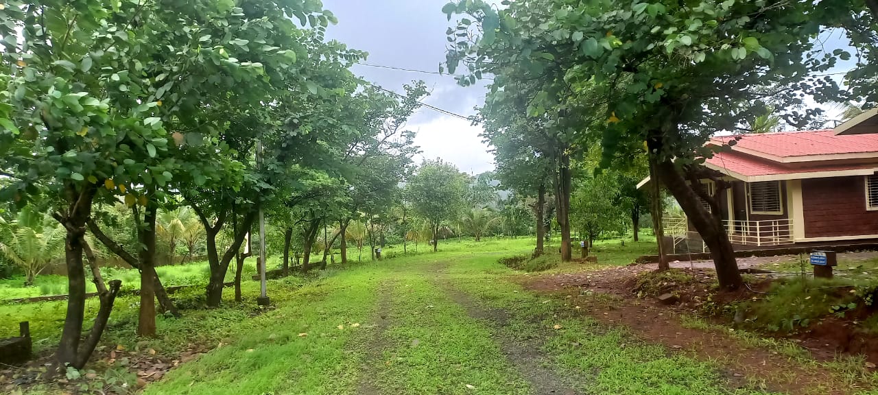 Konkan County